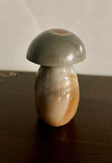 Polychrome Jasper Mushroom