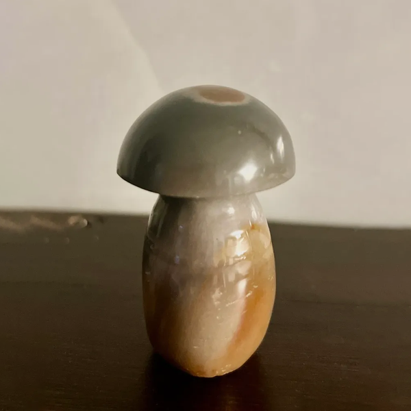 Polychrome Jasper Mushroom